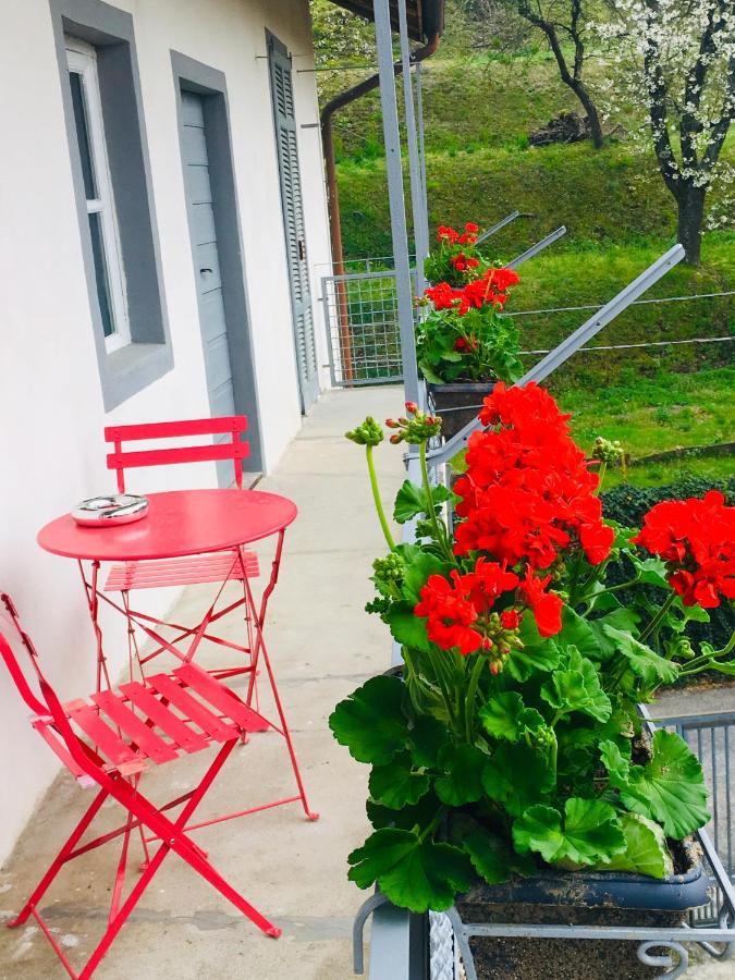 Villa Bacchetta - Forest View Oleggio Castello ภายนอก รูปภาพ