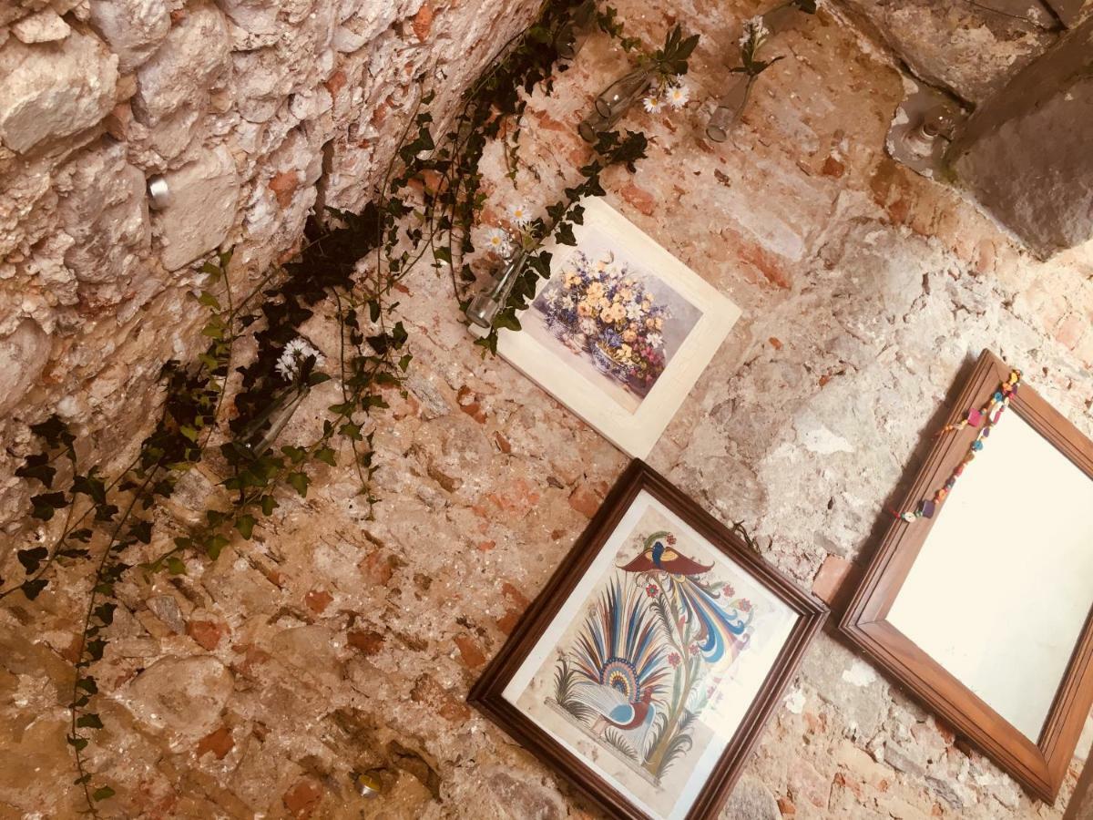 Villa Bacchetta - Forest View Oleggio Castello ภายนอก รูปภาพ